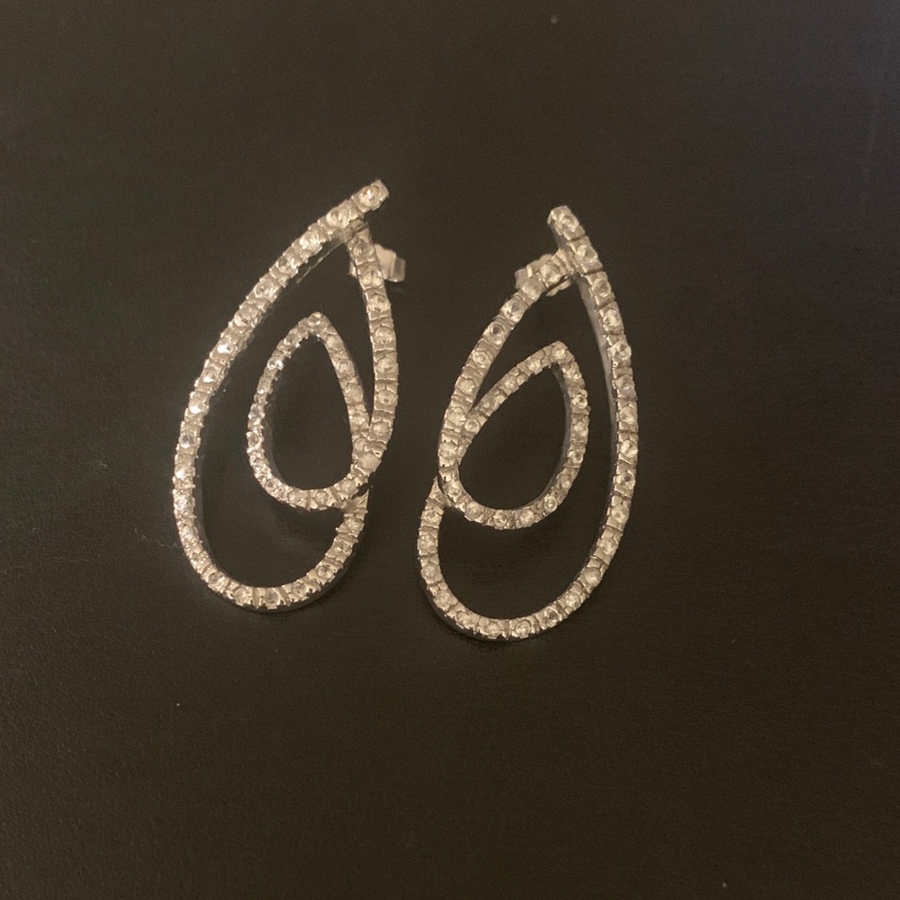 Ann Taylor Elegant Silver Teardrop Earrings